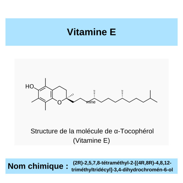 E comme Vitamine E